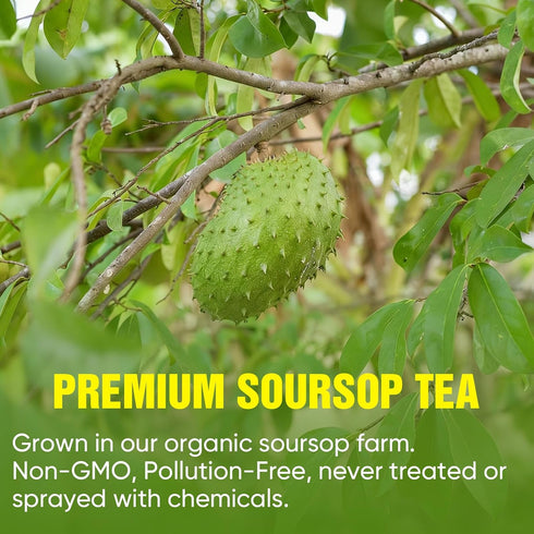 TEAWOO 60 Packs 100% Soursop Tea Bags, Natural Soursop Leaves (Hojas de Guanabana), Sugar-Free Caffeine-Free