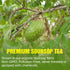 TEAWOO 60 Packs 100% Soursop Tea Bags, Natural Soursop Leaves (Hojas de Guanabana), Sugar-Free Caffeine-Free