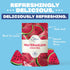 Packets 8 5 Packets (16-Count) HTeaO Watermelon Black Tea Makes Gallons of Naturally Sweet Tea in Minutes Large Tea