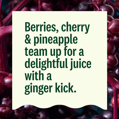 12 oz Suja Organic Gut Health Elderberry Ginger Cold Pressed Juice Drink, fl Bottle