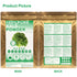 Plant Gift 100g/3.52oz 100% Kale Powder Natural Pure Natural Food Coloring, Great for Baking, Juices, Smoothies, Shakes