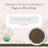 1 lb Starwest Botanicals Organic Basil Leaves - Dried Sweet Basil Leaf, Herb for Seasoning Blends & Cooking, Cut