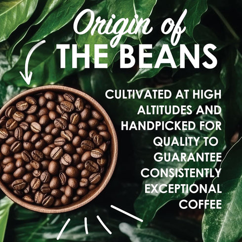 100% 1 Lb (Pack 2) Magnum Exotics Coffee Blue Mountain Coffee Blend - Medium-Light Roast, Whole Bean, Made from Arabica
