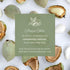 Snack-1LBS Fresh Second Phase Green Almonds Crack & Eat Inner Almond Only California Seasonal Harvest Crunchy Fresh