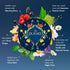 Set 90 6 Pukka Luxury Herbal Tea Sampler Box, Organic Tea For Everyday Wellness, Ideal Gift for Special Occasions