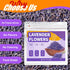 (8 oz) Dried Culinary Lavender Flowers - Food Grade Lavender Buds for Tea, Baking, Potpourri, Home Fragrance & Sachets