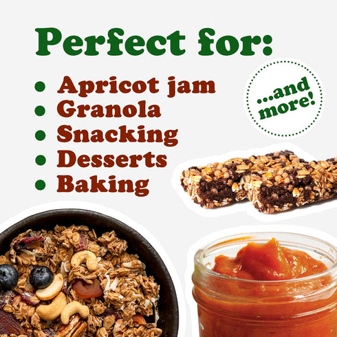 1 Food to Live Organic Dried Apricots, Pound Non-GMO, Kosher, Unsulfured, Raw, Vegan, Bulk