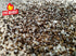 Pit Beast Coarse AF Salt and Pepper Spice Blend, Dalmatian BBQ Rub, 14oz for Steaks, Brisket, Chicken, Burgers