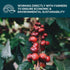 2 LB (Pack 1) 3 Stone Creek Coffee Dark Roast Ground Coffee of Smooth and Chocolatey Fresh Roasted Coffee Beans
