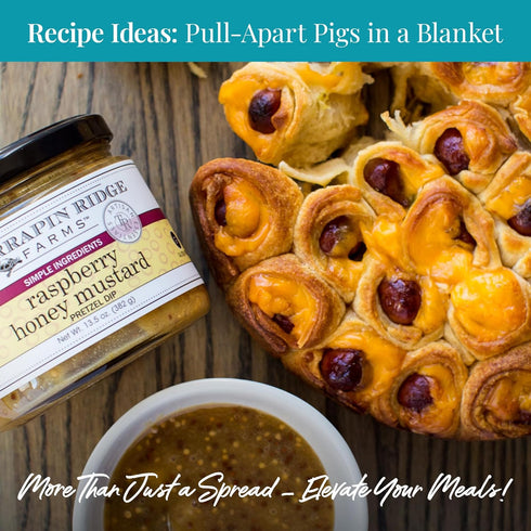 14 oz Terrapin Ridge Farms Raspberry Honey Mustard Pretzel Dip - Sweet Dip with Coarse Mustard & Tart Raspberries