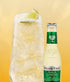 6.8 Oz (Pack 24),A500111 Fever-Tree Premium Ginger Ale, No Artificial Sweeteners, Flavourings or Preservatives, Fl