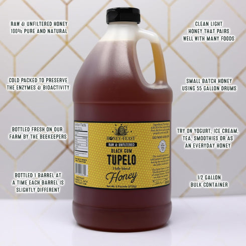 6 HONEY FEAST Pounds Black GumTupelo Honey - Authentic Raw Florida Blend, Pure American Bulk Sweetener