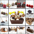 Pack (1 lb) US Sweets Vegan Chocolate Almond - Dark Chocolate Almond Clusters & Almond Butter Truffles | Dairy Free |