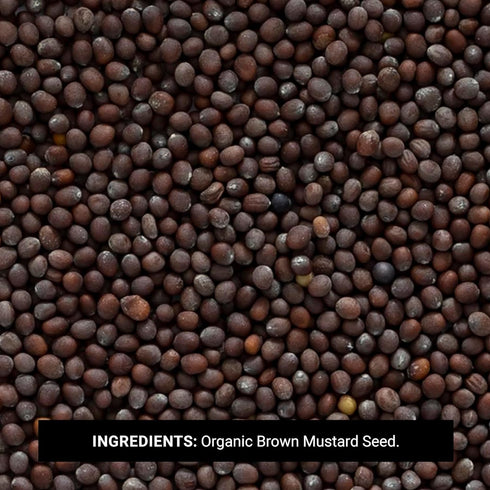 1 lb Frontier Bulk Whole Certified Organic Mustard Seed, Brown