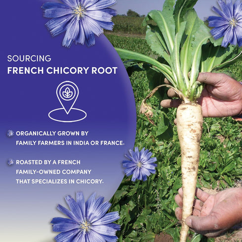 1 Worldwide Botanicals Organic French Chicory Root, Pound - Brew Like Coffee, Blend Roasted Chicory Root With Coffee