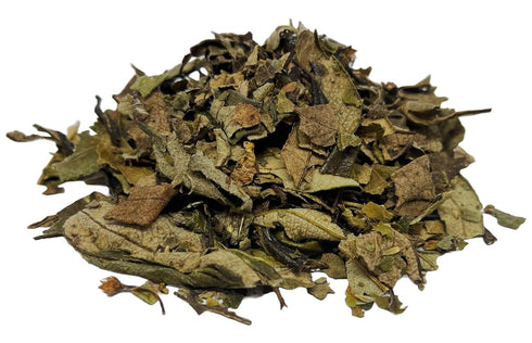 CIK Naturals (100g) Lungwort Herb Pulmonaria tea Herbal Infusions Zip-lock bag Pulmonaria officinalis