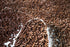Sweet Evas 100% 1.5 LBS. NATURAL CHOCOLATE SPRINKLES. Gluten Free. Dairy Free. Egg Free. Soy Free. Nuts Free. Vegan.