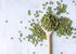 3 Food to Live Organic Mung Beans, Pounds Non-GMO, Whole Dried Beans, Green Gram, Sproutable, Kosher, Sirtfood. Good