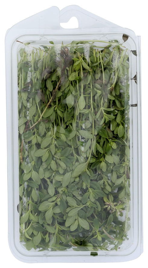 Fresh Produce 0.75 Herb Thyme Organic, Ounce