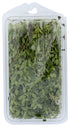 Fresh Produce 0.75 Herb Thyme Organic, Ounce