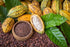 4 Food to Live Organic Cacao Nibs, Ounces Unsweetened, Non-GMO, Kosher, Raw, Vegan, Sirtfood, Bulk