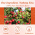 100 Count, 100% WT WEETEE Hawthorn Berry Tea Bags Hawthorn Fruit, Corn Fiber Pyramid Bags, Antioxidant & Caffeine-Free