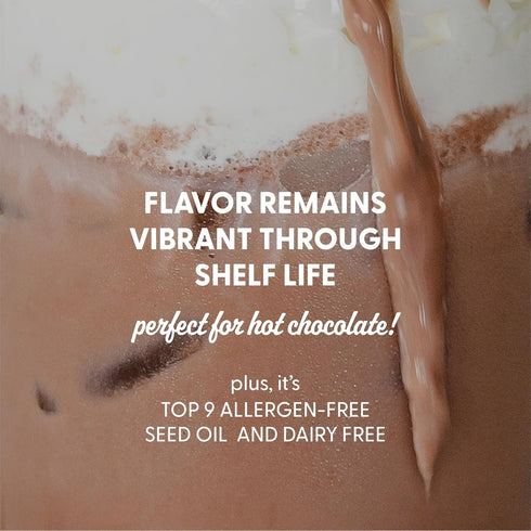 32 oz 2 Maizly Chocolate Corn Milk fl x | DairyFree, GlutenFree, AllergenFree Chocolate Milk Alternative Made From