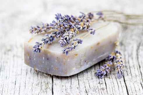100% 100% Albanian 4oz Organic Lavender Tea | Certified Organic | Food Grade Dried Lavender Flowers | Perfect for Tea
