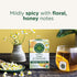 96 Count (Pack 6) Traditional Medicinals Tea, Organic Ginger & Chamomile - Occasional Nausea & Indigestion Relief