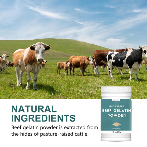18 oz Beef Gelatin Powder Unflavored, Natural Thickener, Rich in Collagen, Used in Jellies, Puddings, Candies, Dairy