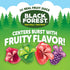 0.8 oz 40 Black Forest, Juicy Burst, Fruit Flavored Snacks, Mixed Fruit Flavors, A Juicy Burst of Natural Flavors, Made