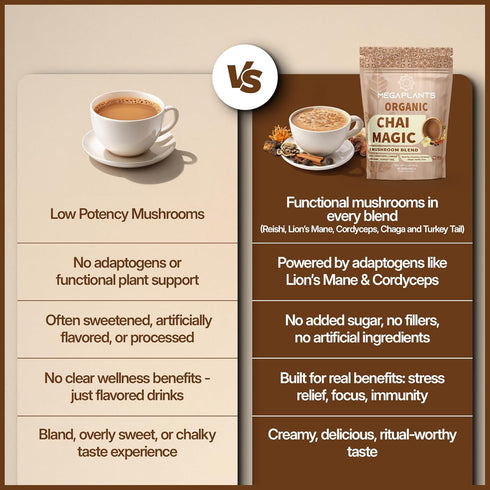 (30 MegaPlants Adaptogenic Mushroom Chai Tea Servings) | No Crash Energy & Focus Blend with Lions Mane, Reishi, Turkey