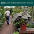 4" Calathea Ornata Live Plant in Pot Prayer Plant Indoor Houseplant, Pet Friendly, Easy Care, Low Maintenance Tropical