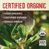 ECOTEAS Organic Unsmoked Yerba Mate Tea Bags - 24 Count, 1.7 Oz, Clean Energy Burst