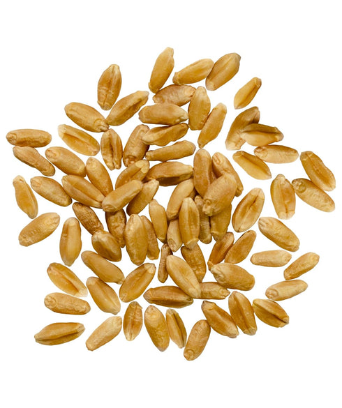 Palouse Brand Certified Glyphosate Residue Free Hard Red Spring Wheat Berries |