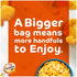 10 Oz Goldfish Crackers, Flavor Blasted Xtra Cheddar Crackers, Family Size, Bag