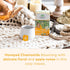 Immune 18 6 Pack Organic India Tulsi Honey Chamomile Tea Bags - Herbal Tea for Stress Relieving & Calming, Support