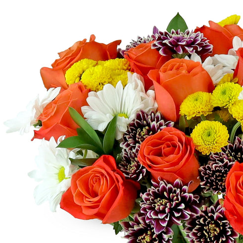 Benchmark Bouquets - Life is Good Orange Roses - Fresh Flowers for Delivery - Mothers Day Flowers for Mom - Gifts