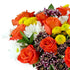 Benchmark Bouquets - Life is Good Orange Roses - Fresh Flowers for Delivery - Mothers Day Flowers for Mom - Gifts