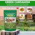 14oz (396g) Premium Green Cardamom Pods - - Aromatic Whole Cardamom for Cooking, Baking, Chai, and Curries - Ideal
