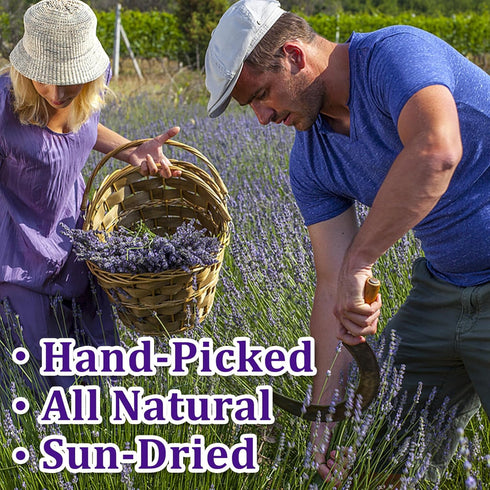 130+ 6.69" 1.76 oz (50g) Edible Lavender Sprigs for Cocktails & Cake Garnish, Culinary Grade Lavender Sticks for Tea