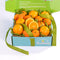 California Citrus Duet Gift Box for Lunar New Year, Birthday, Thank You,