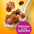 14oz (1 Kellogg's Raisin Bran Cold Breakfast Cereal, Fiber Cereal, Heart Healthy, Original with Cranberries, Box Box)
