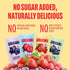 Packets 12-Pack Smash Foods Single Serve Jam | Variety | Natural, Keto & No Sugar Added | Vegan & Upcycled Fruit Spread