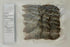 Sun dried seafoods 100g Dried Boneless Rabbitfish/Boneless Danggit, Dried Fish, Wild Caught, Chemical Free