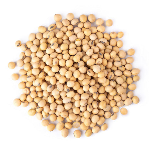 10 Food to Live Organic Soybeans, Pounds Dry Soy Beans, Pure and Natural, Nutritious Snack, High-Protein, Perfect