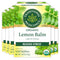 Traditional Medicinals - Organic Lemon Balm Herbal Tea (6 Pack) - Stress