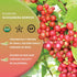1lb, 100% 16 Worldwide Botanicals Organic Schisandra Berries, tea cut for best infusion. Schisandra chinesis AKA Five