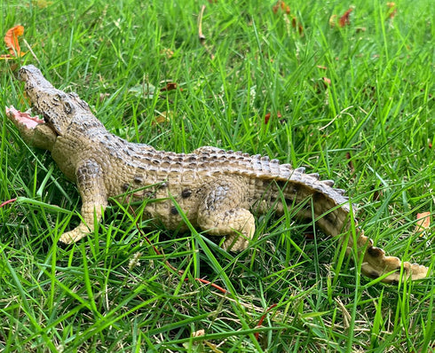 Gemini&Genius Crocodile Safari Animal Action Figure Toy with Moveable Jaw for Kids