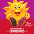13.6oz (1 Kellogg's Raisin Bran with Cranberries Breakfast Cereal, Fiber Cereal, Family Breakfast, Box Box)